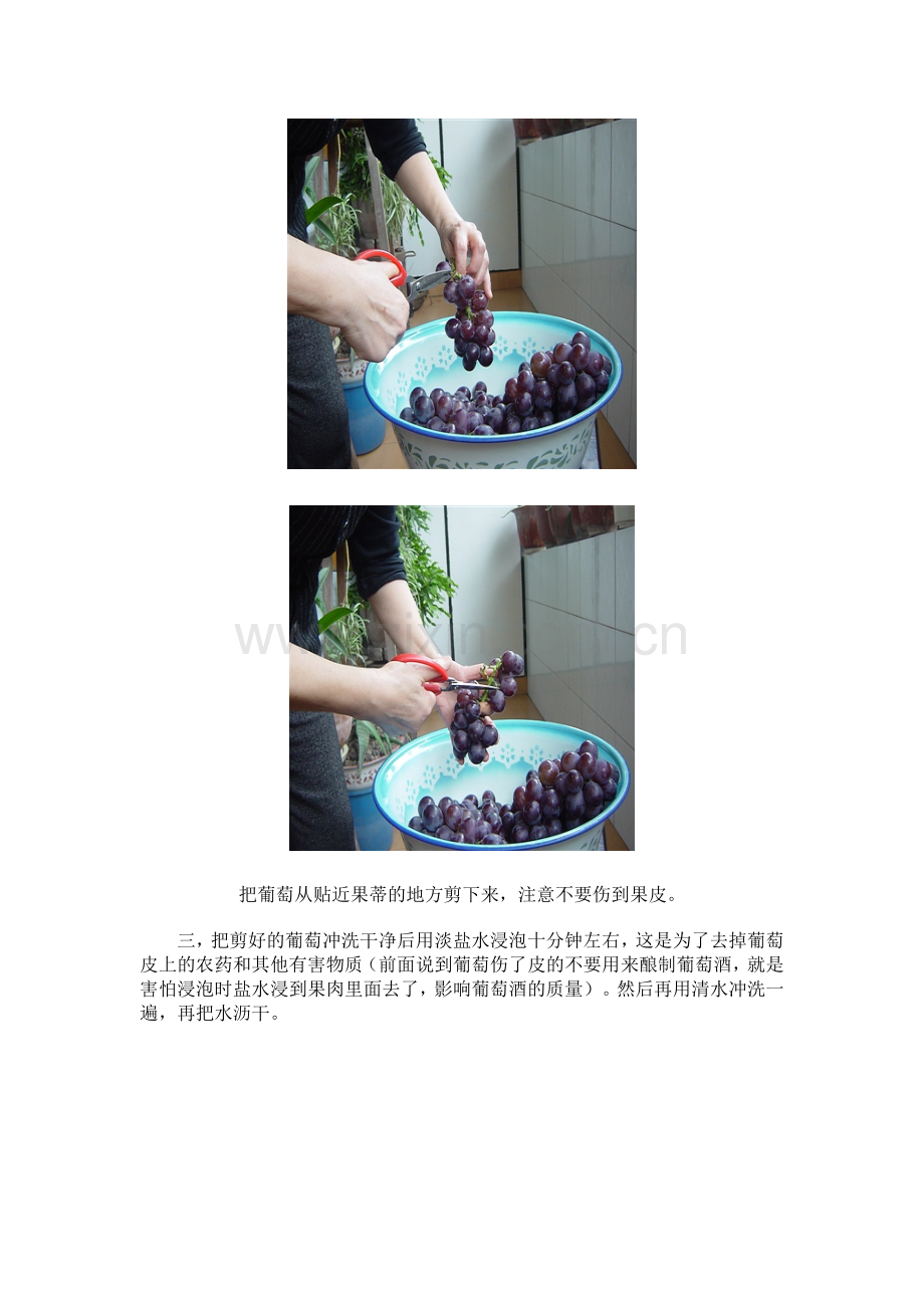 教你家酿红葡萄酒.docx_第2页