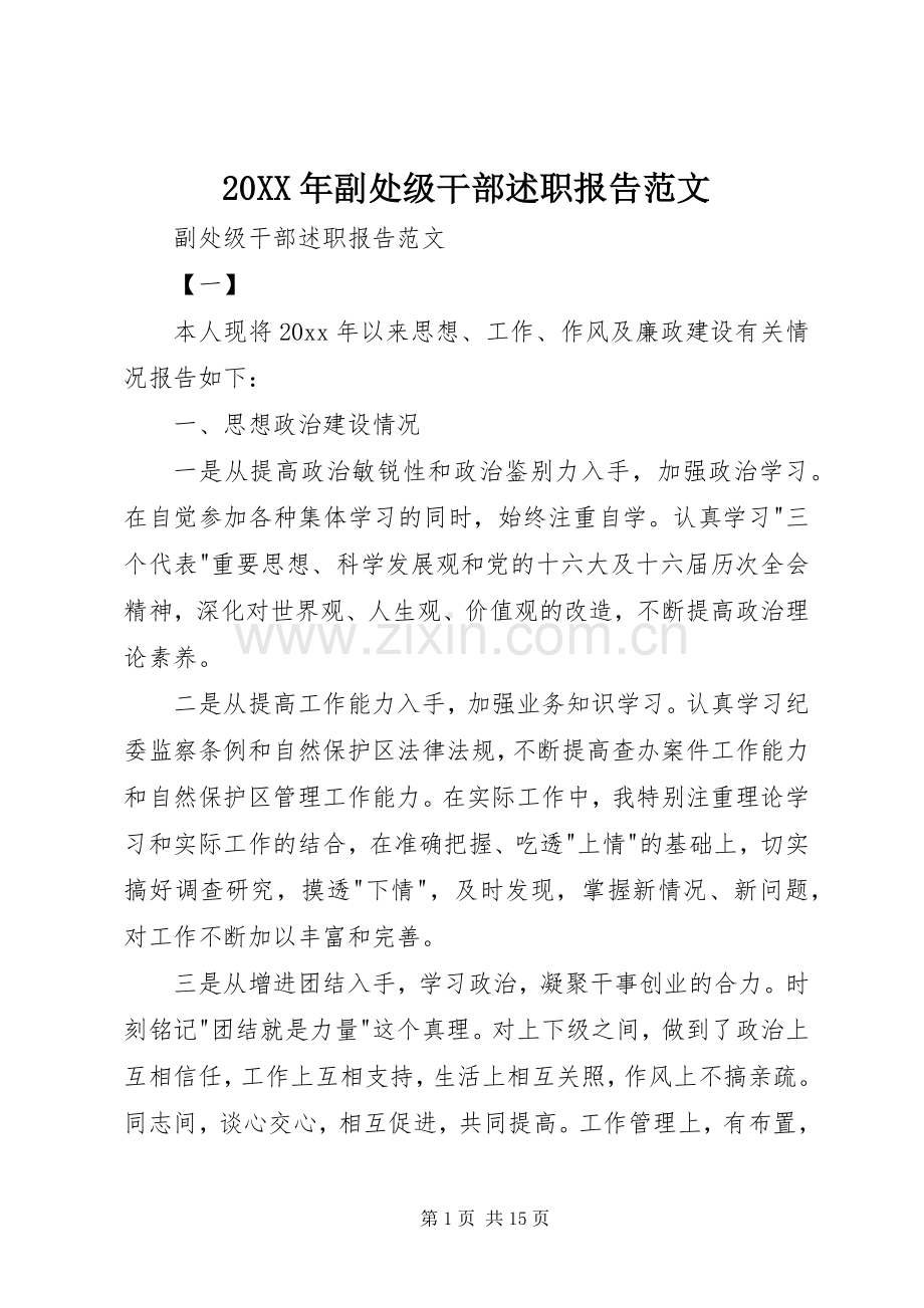 20XX年副处级干部述职报告范文.docx_第1页