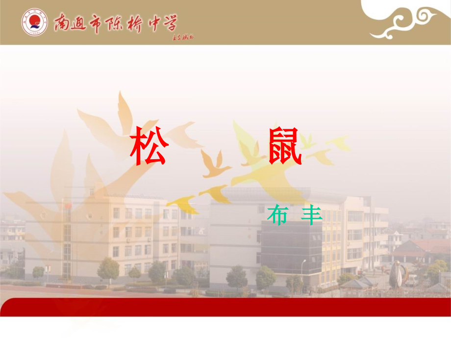 《松鼠》教学课件定稿.ppt_第1页