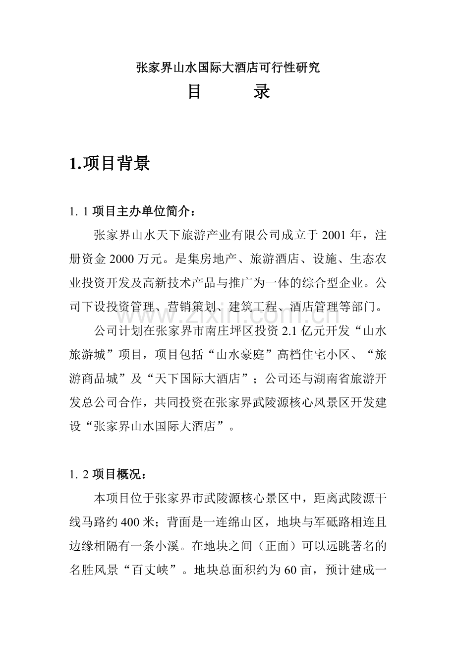 张家界山水国际大酒店可行性研究.docx_第1页