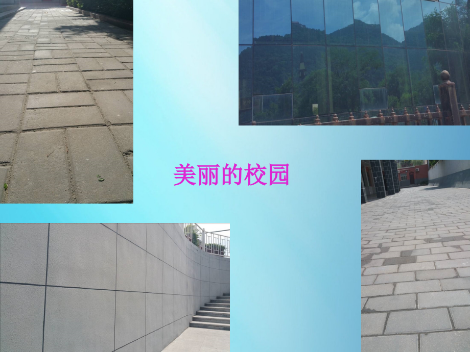 小学数学北师大四年级《密铺》.ppt_第2页
