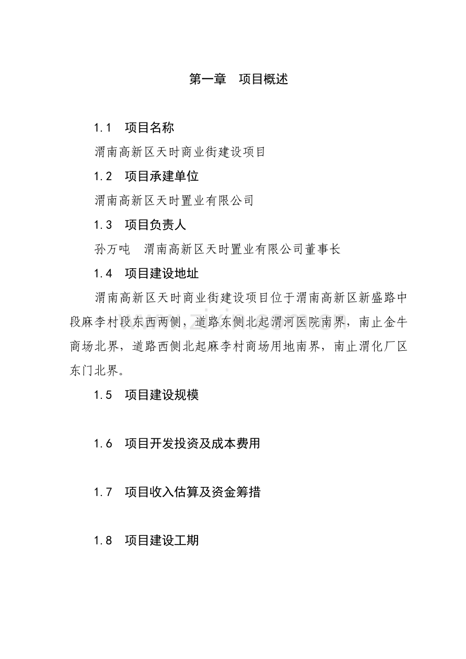 商业步行街房地产项目.docx_第1页