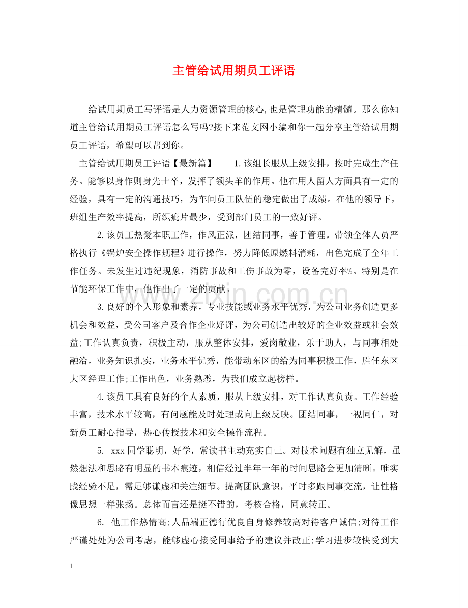 主管给试用期员工评语.doc_第1页