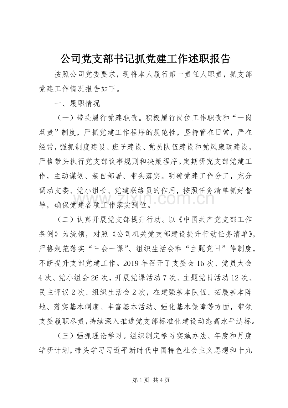 公司党支部书记抓党建工作述职报告.docx_第1页