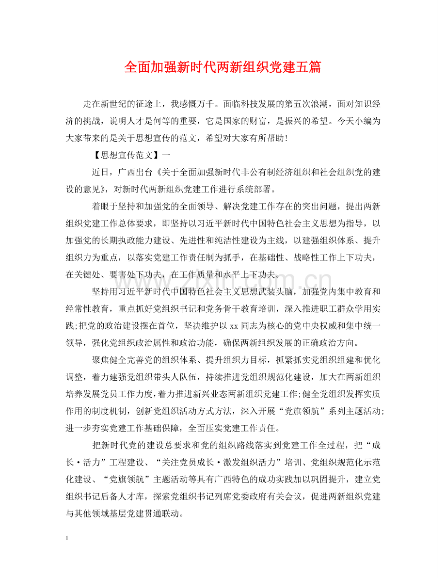 全面加强新时代两新组织党建五篇.doc_第1页