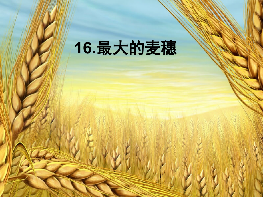 最大的麦穗.ppt_第2页