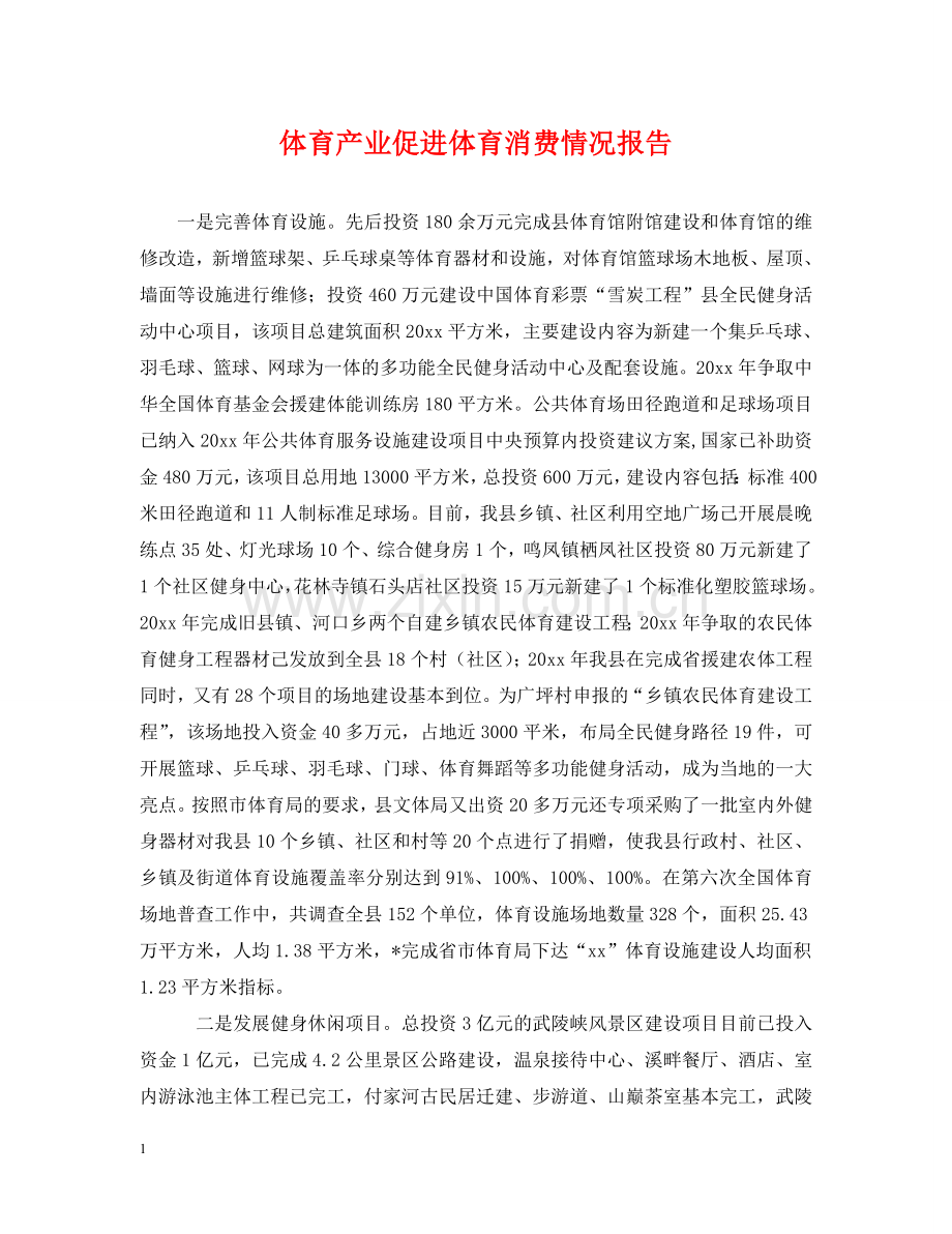 体育产业促进体育消费情况报告.doc_第1页