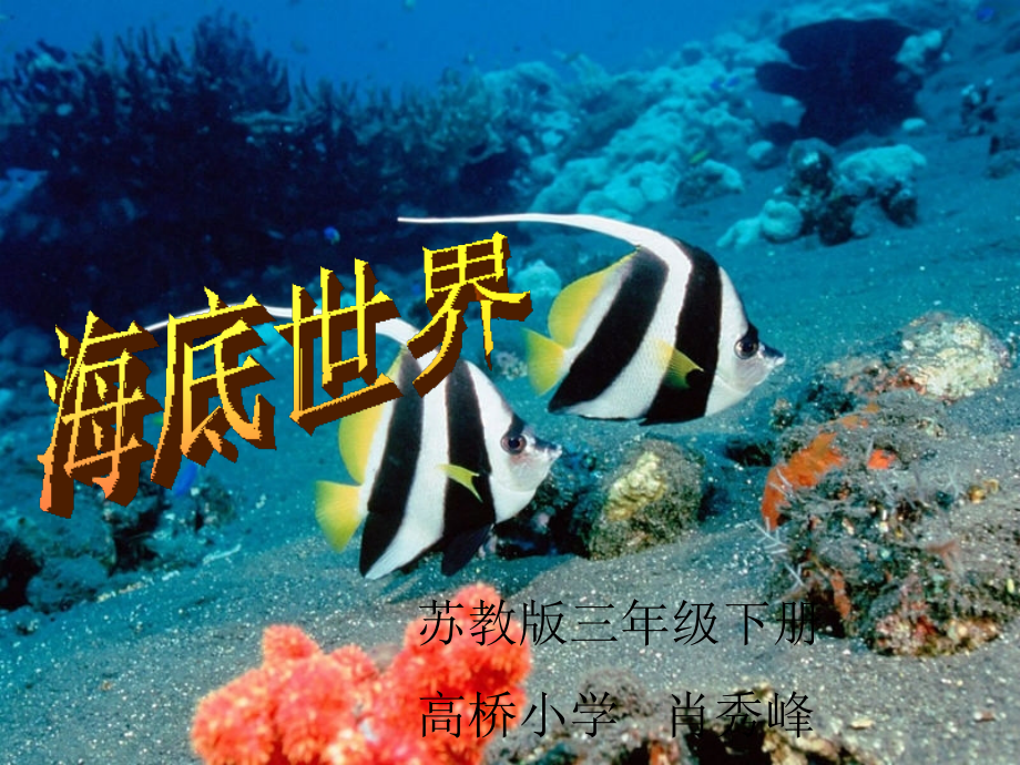 课件海底世界6.ppt_第1页