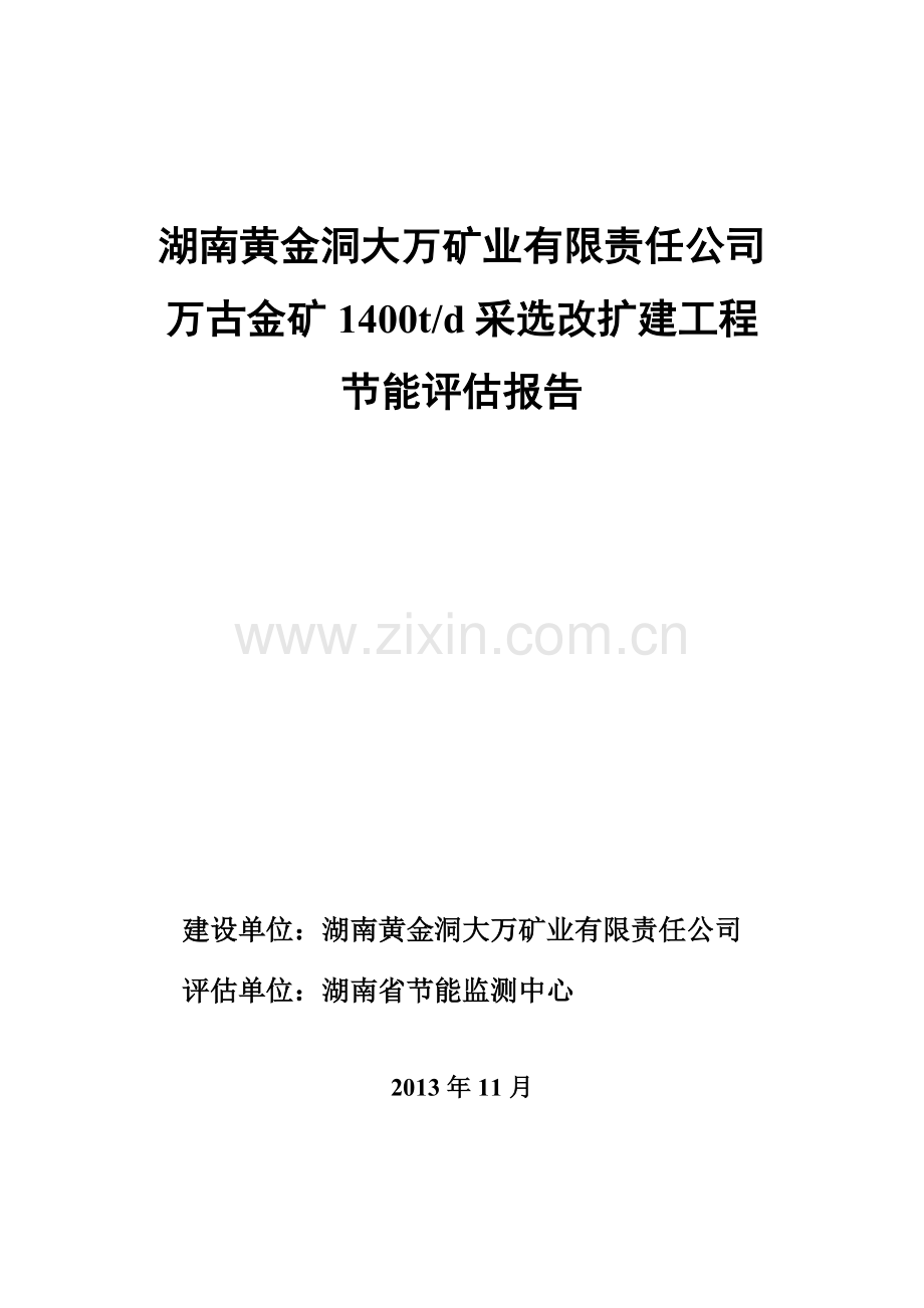 大万矿业能评报告(送审稿)--模板.docx_第1页