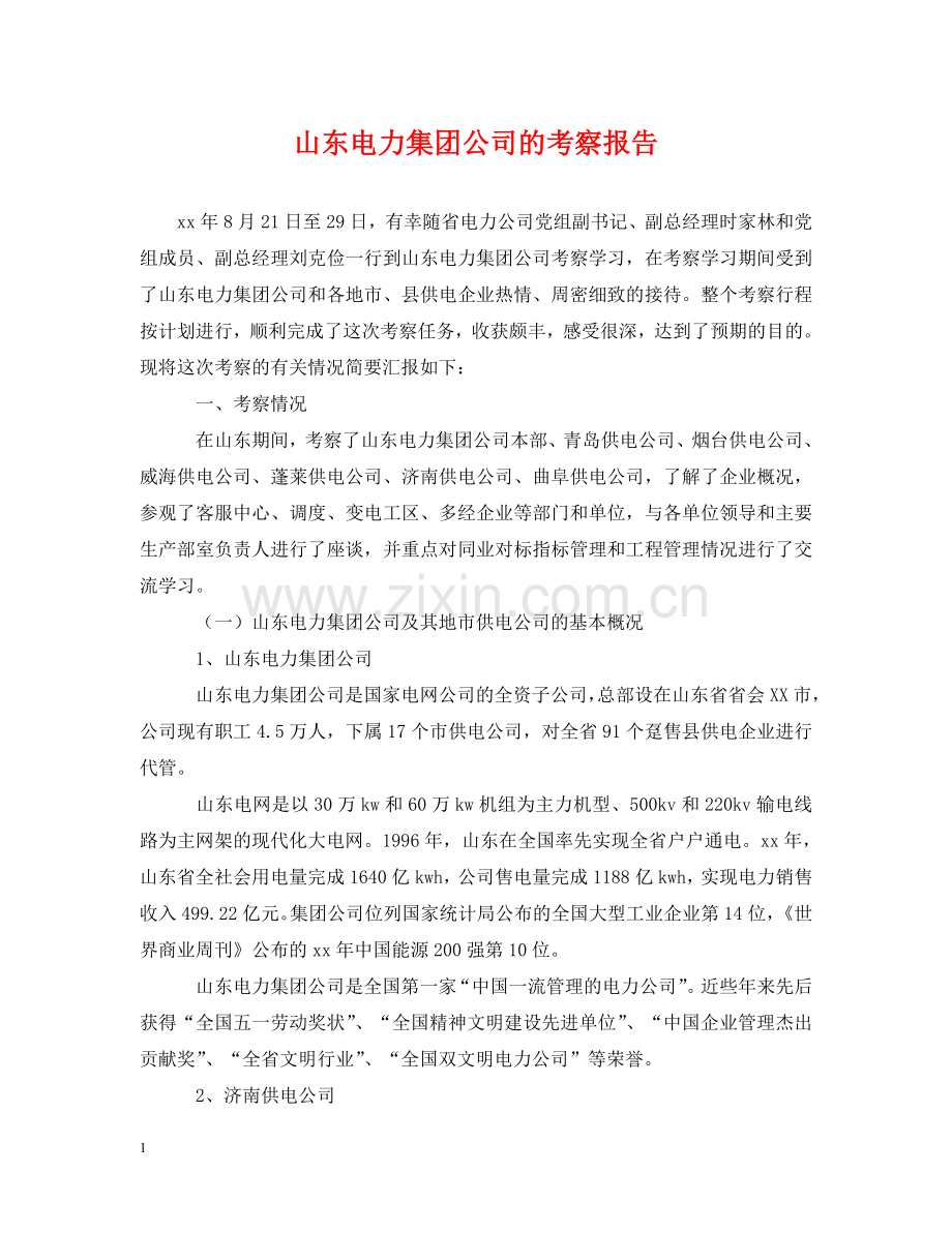 山东电力集团公司的考察报告 .doc_第1页
