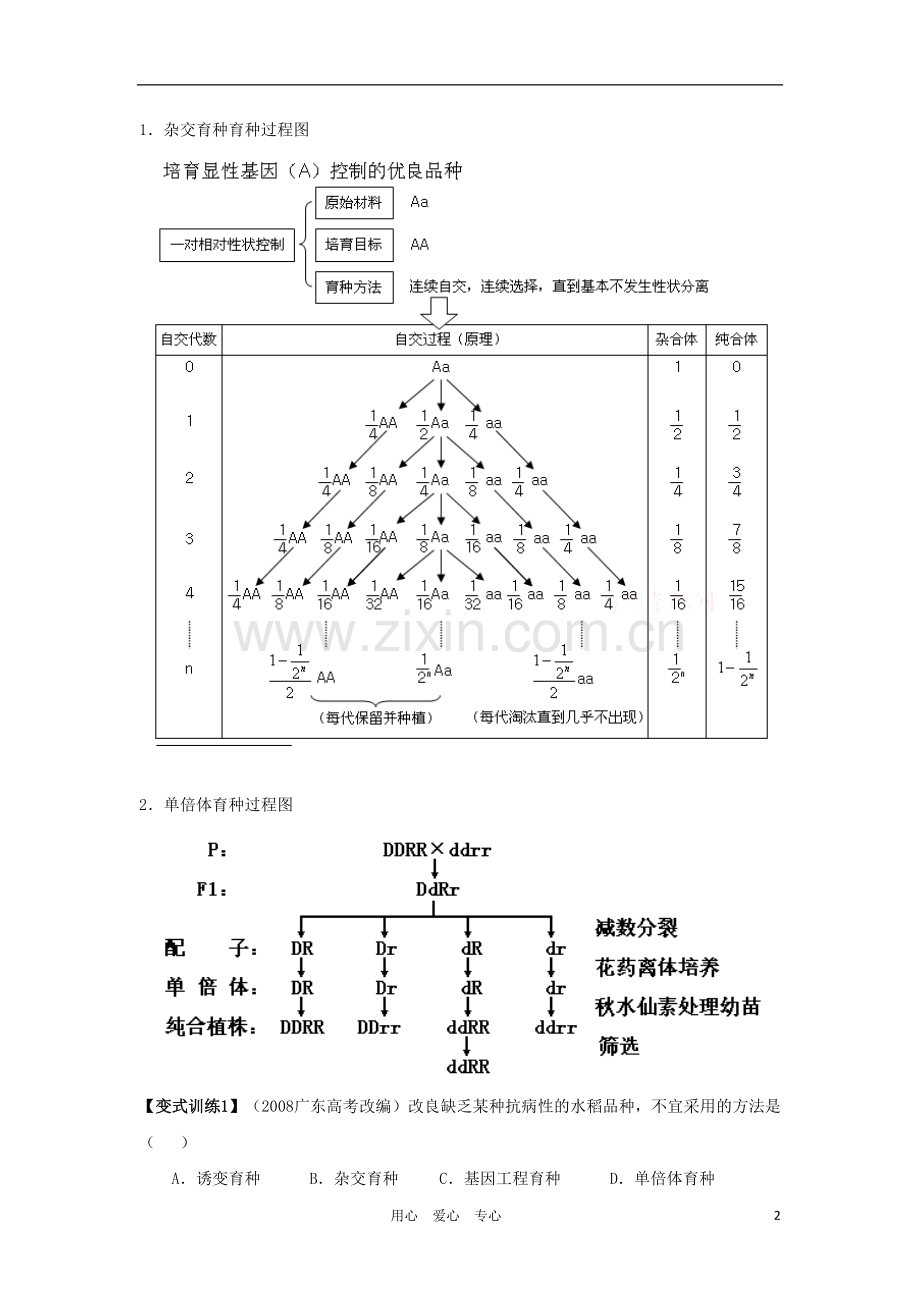 2012高三生物一轮复习-从杂交育种到基因工程导学案-新人教版.doc_第2页