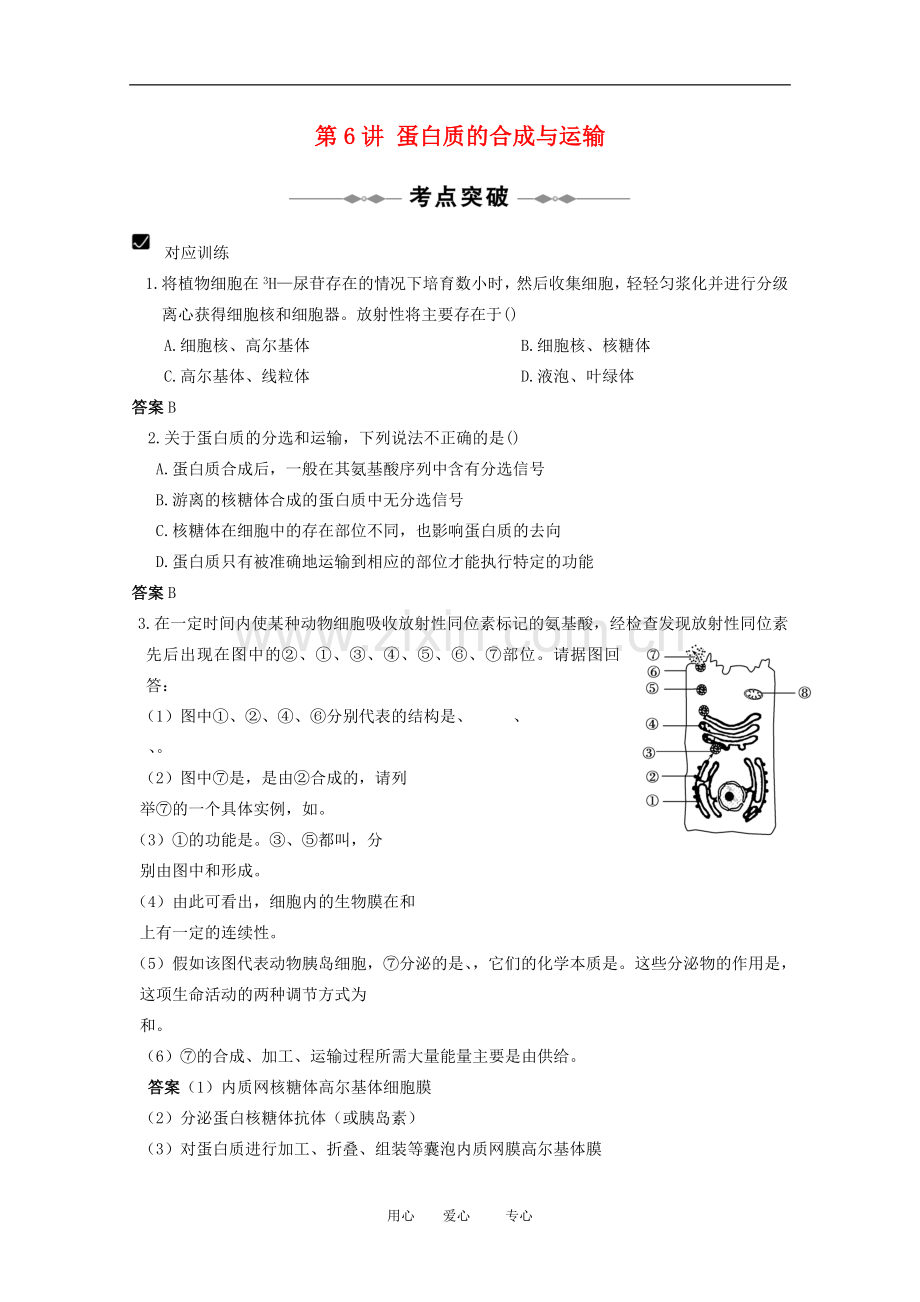 高中生物高考考点突破：第6讲《蛋白质的合成与运输》人教版必修1.doc_第1页