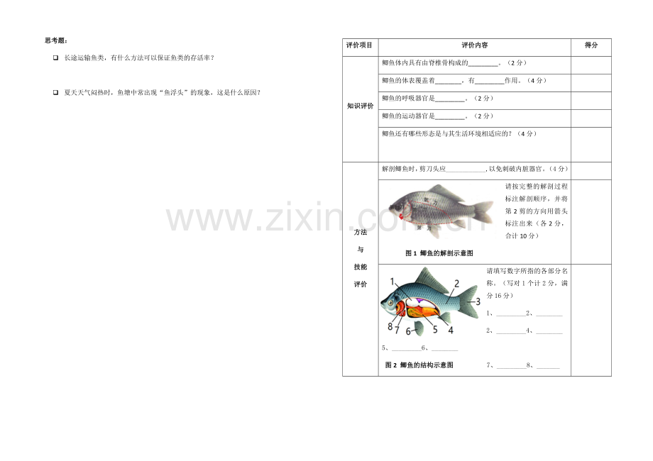 观察和解剖鲫鱼(实验).docx_第2页