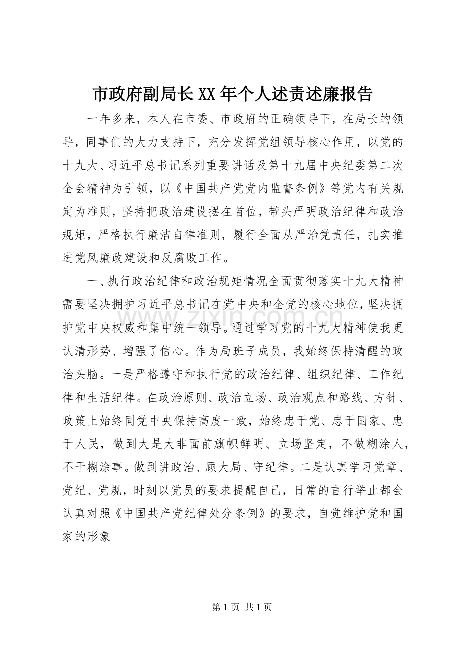 市政府副局长XX年个人述责述廉报告.docx_第1页
