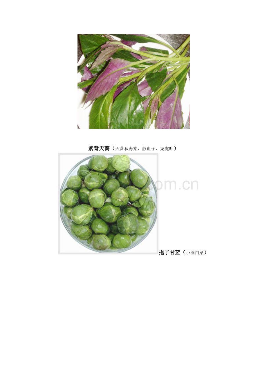 厨房食材大全组图(一).docx_第2页