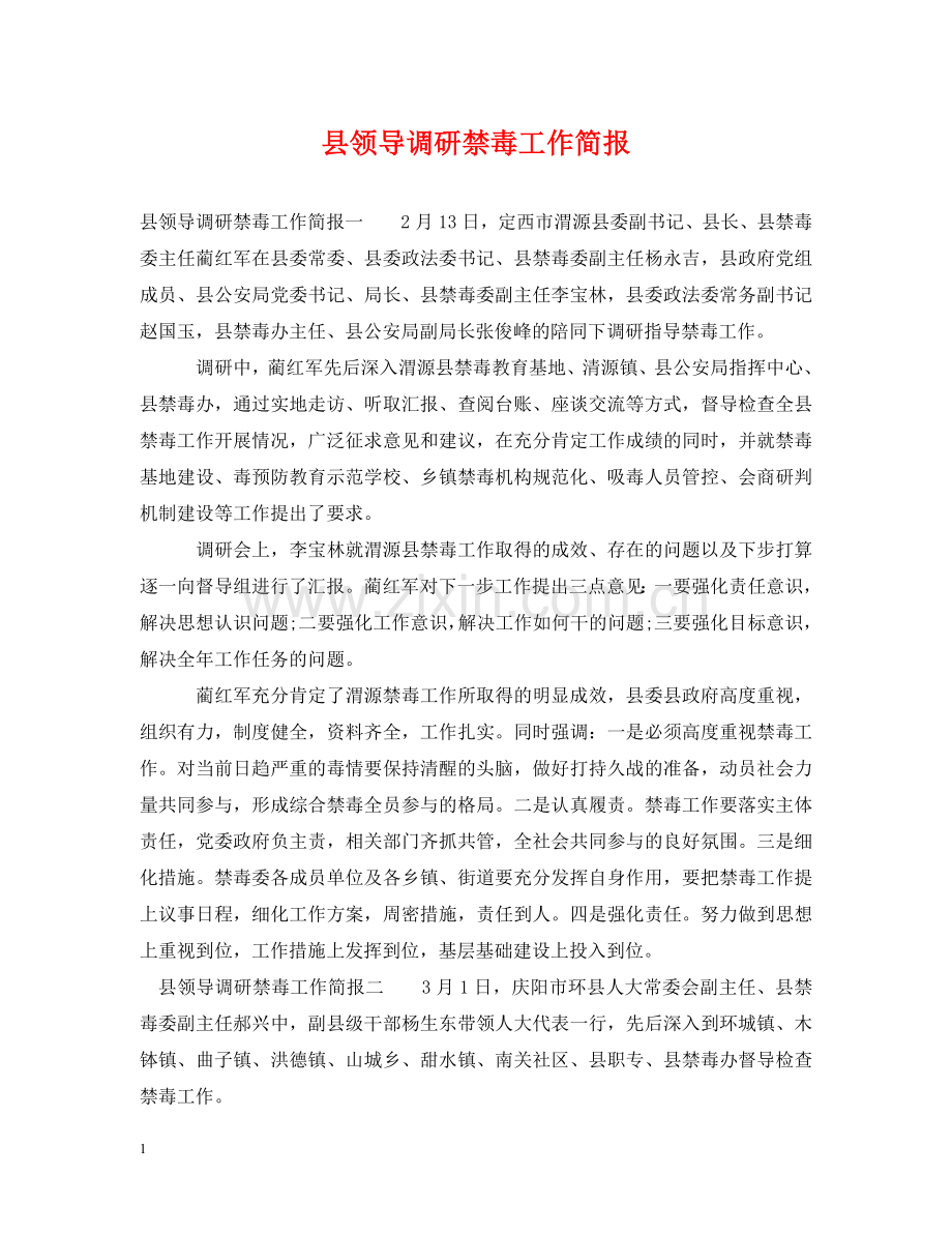 县领导调研禁毒工作简报 .doc_第1页