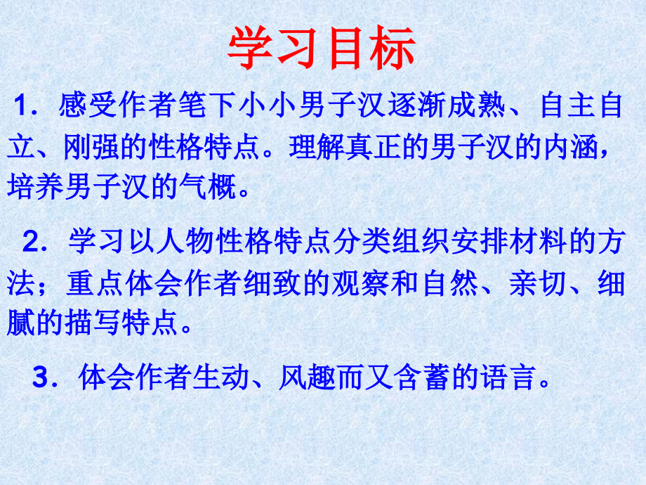 我们家的男子汉(1).ppt_第2页