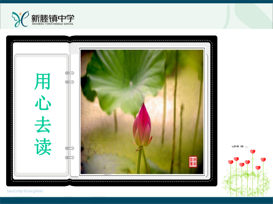 (部编)初中语文人教七年级上册荷叶--母亲.ppt_第2页