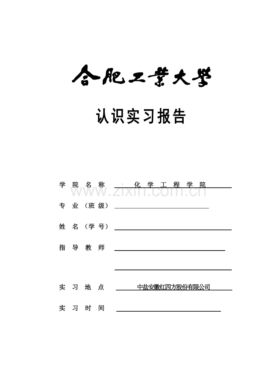 合工大化工专业实习报告.docx_第1页