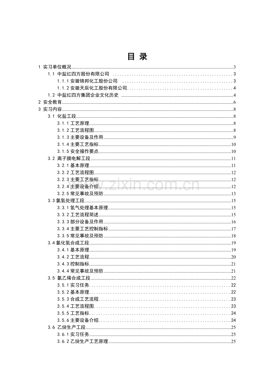 合工大化工专业实习报告.docx_第2页