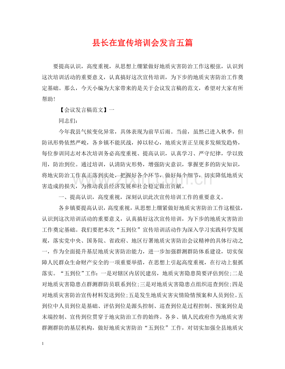 县长在宣传培训会发言五篇 .doc_第1页