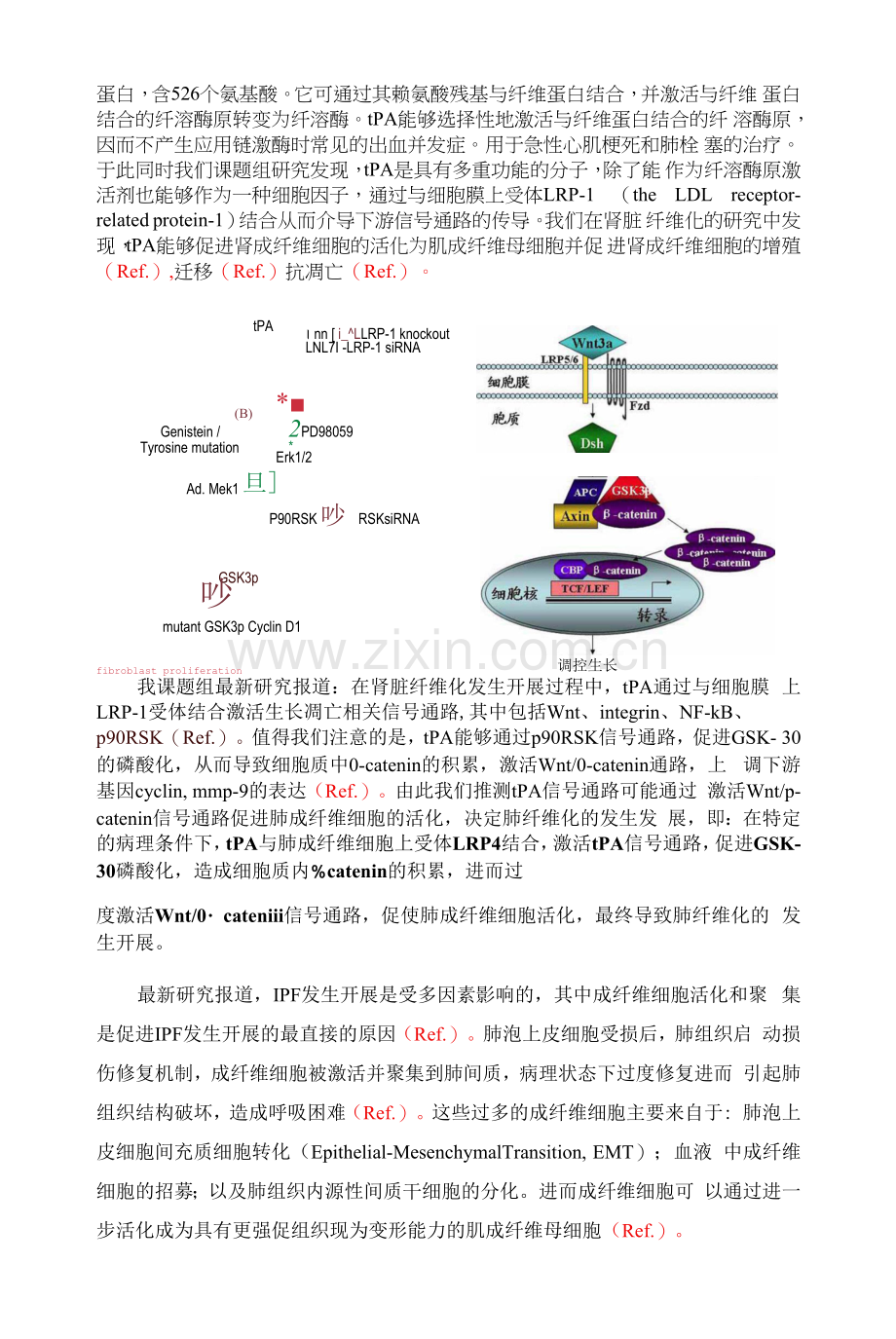 项目立项依据.docx_第2页