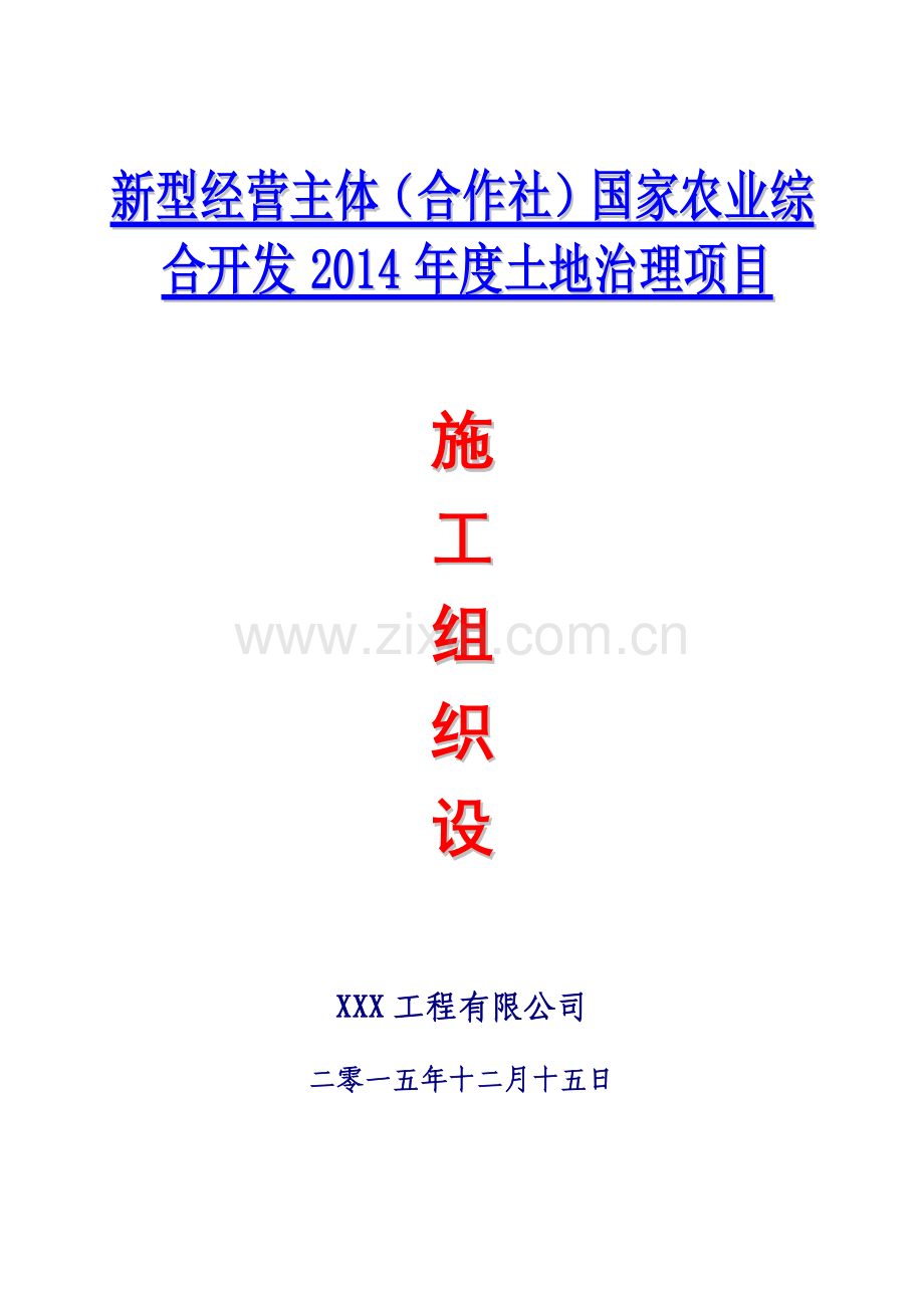 国家农业综合开发年度土地治理项目施工组织.docx_第1页