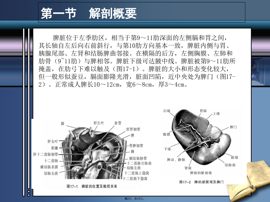 第十七章超声课件.pptx_第2页