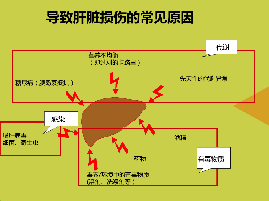 肝脏炎症控制及保肝药合理使用.ppt_第2页