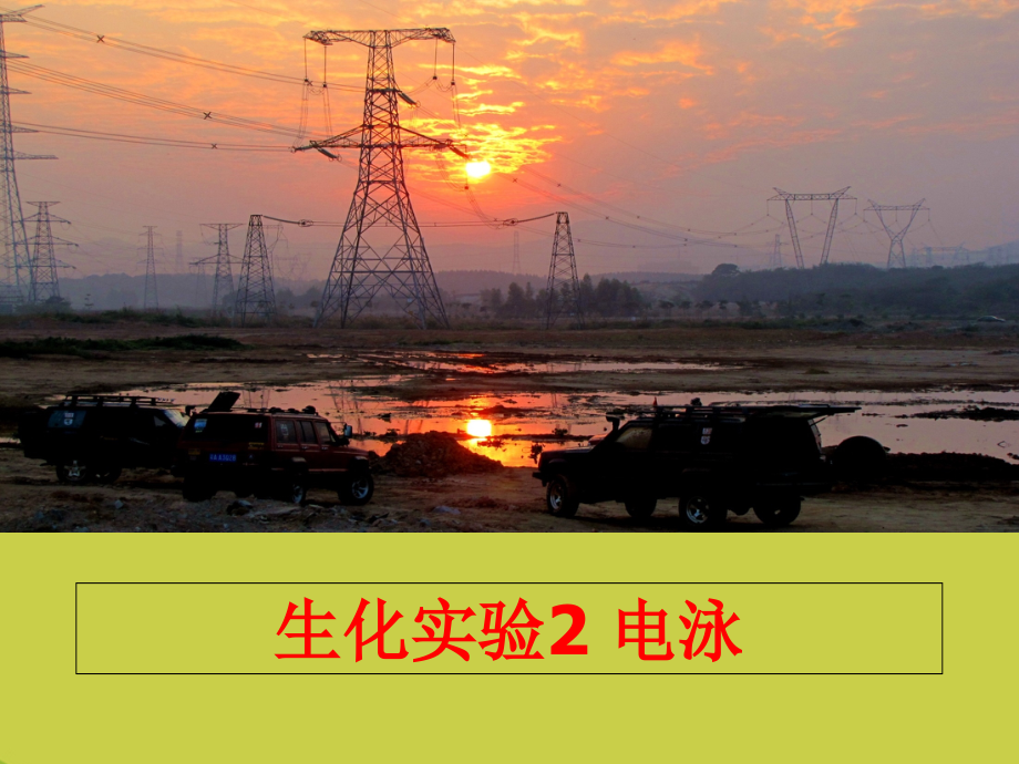 生化实验-电泳.ppt_第1页