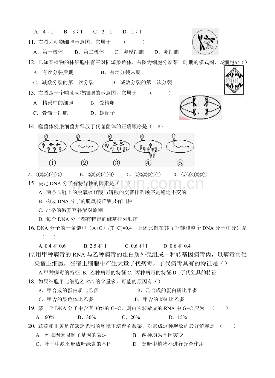 惠来慈云实验中学生物试卷（必修21～4章）.docx_第2页