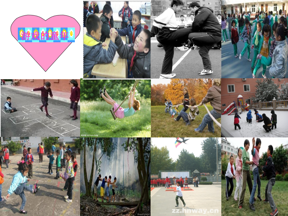 动物游戏之迷.ppt_第1页