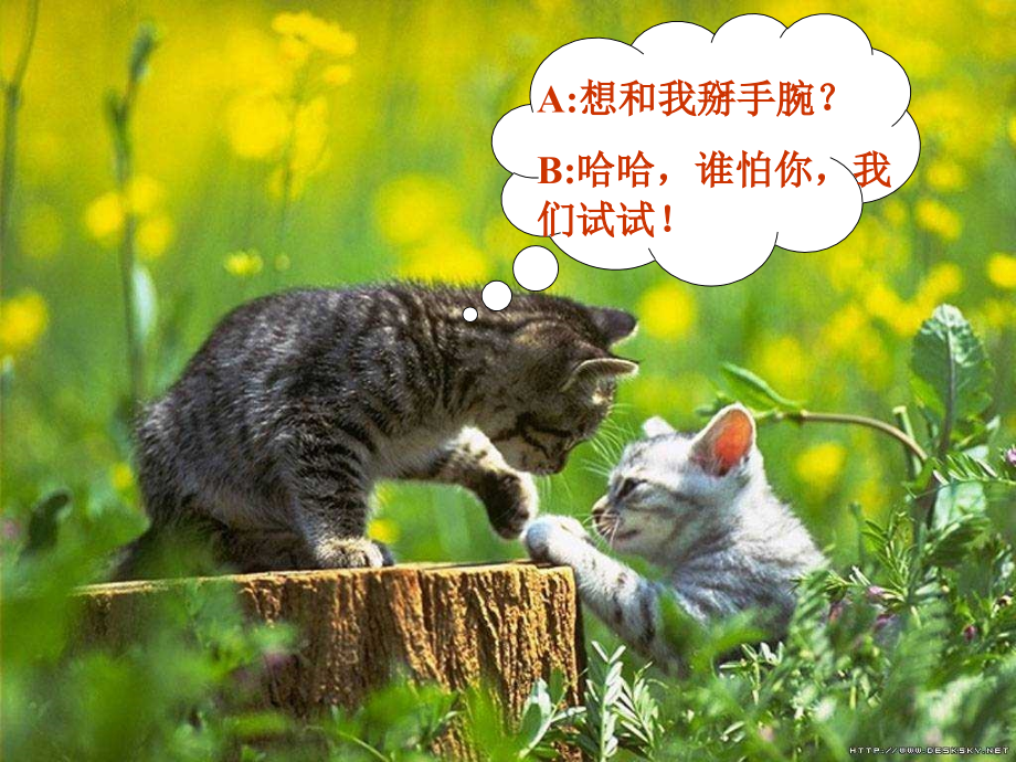 动物游戏之迷.ppt_第2页