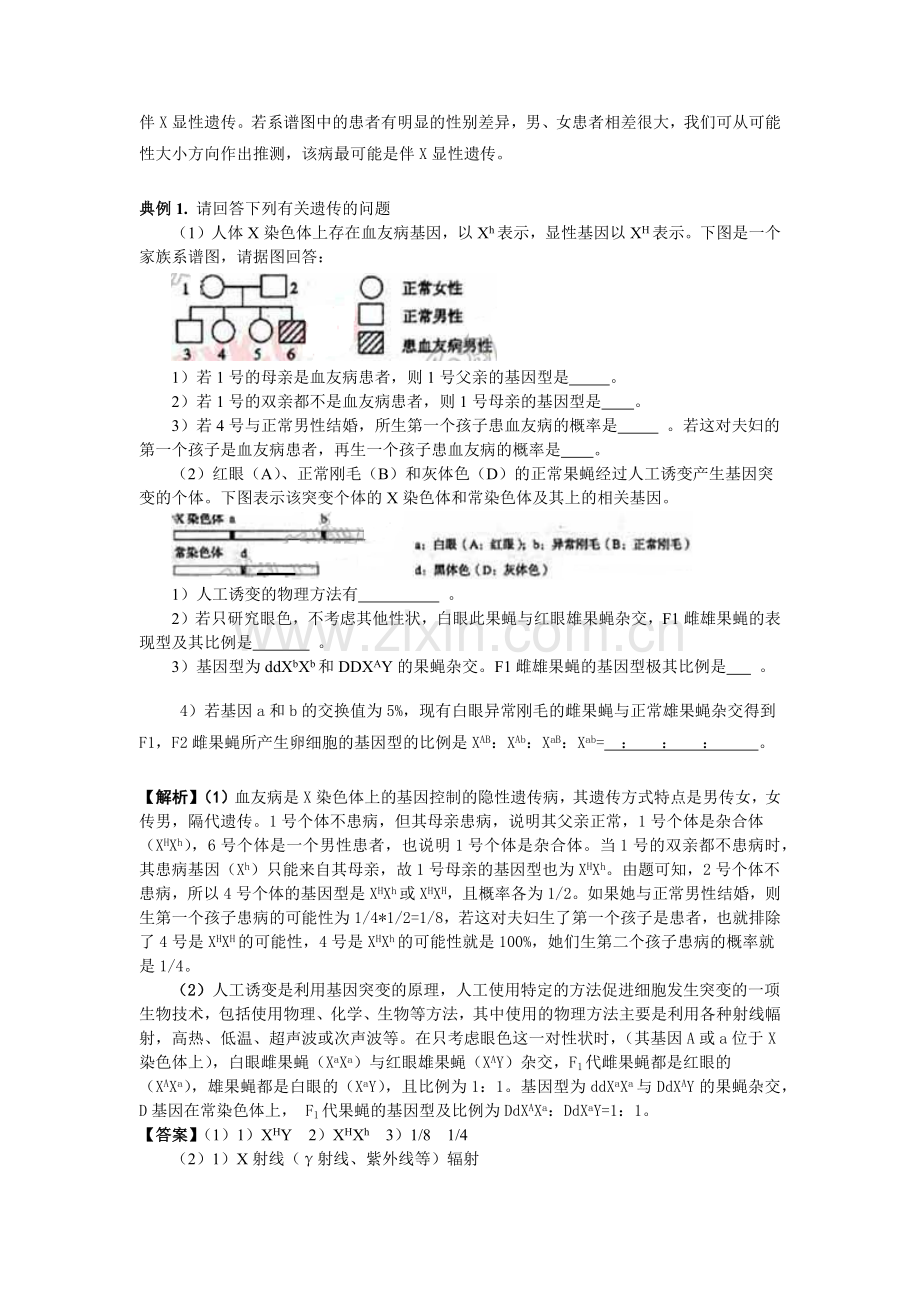山东惠民二中生物：“五步法”快速判断遗传系谱图-桐.docx_第2页