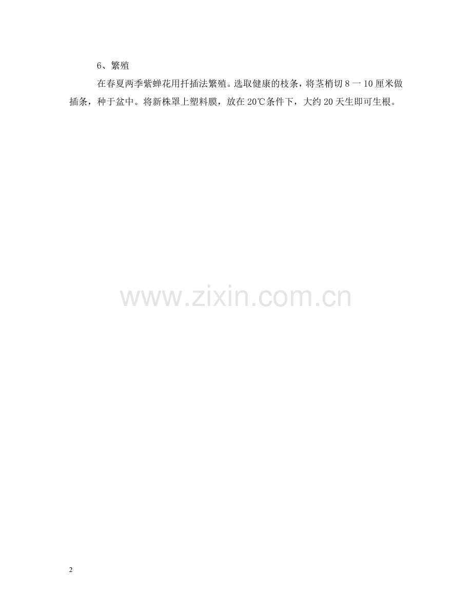 紫蝉花的花语及养殖方法介绍 .doc_第2页