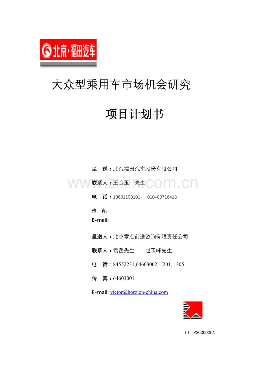 大众型乘用车市场机会研究项目计划书.docx_第1页