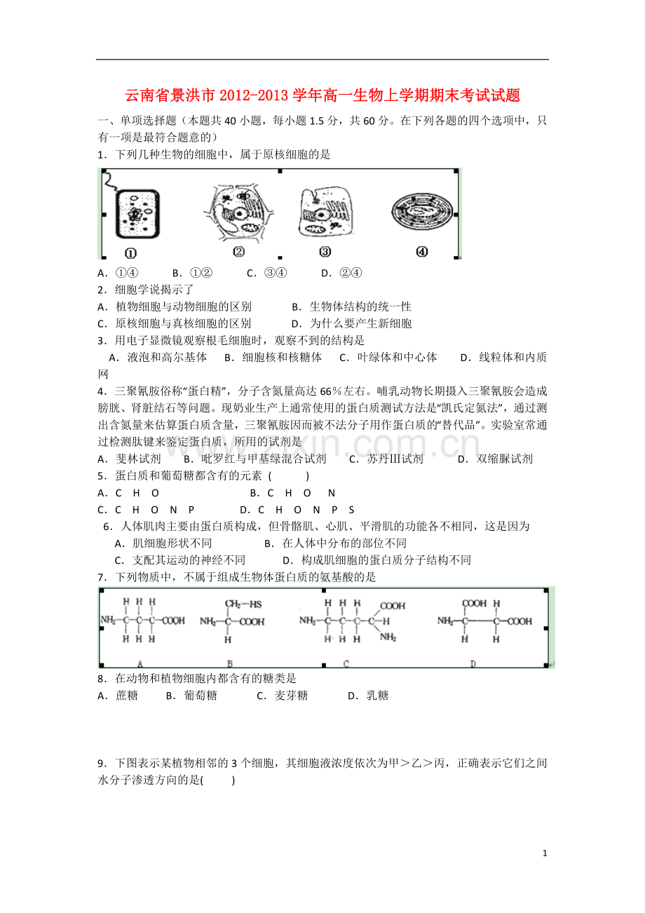 云南省景洪市2012-2013学年高一生物上学期期末考试试题(无答案)新人教版.doc_第1页