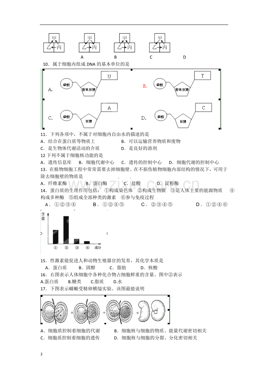 云南省景洪市2012-2013学年高一生物上学期期末考试试题(无答案)新人教版.doc_第2页