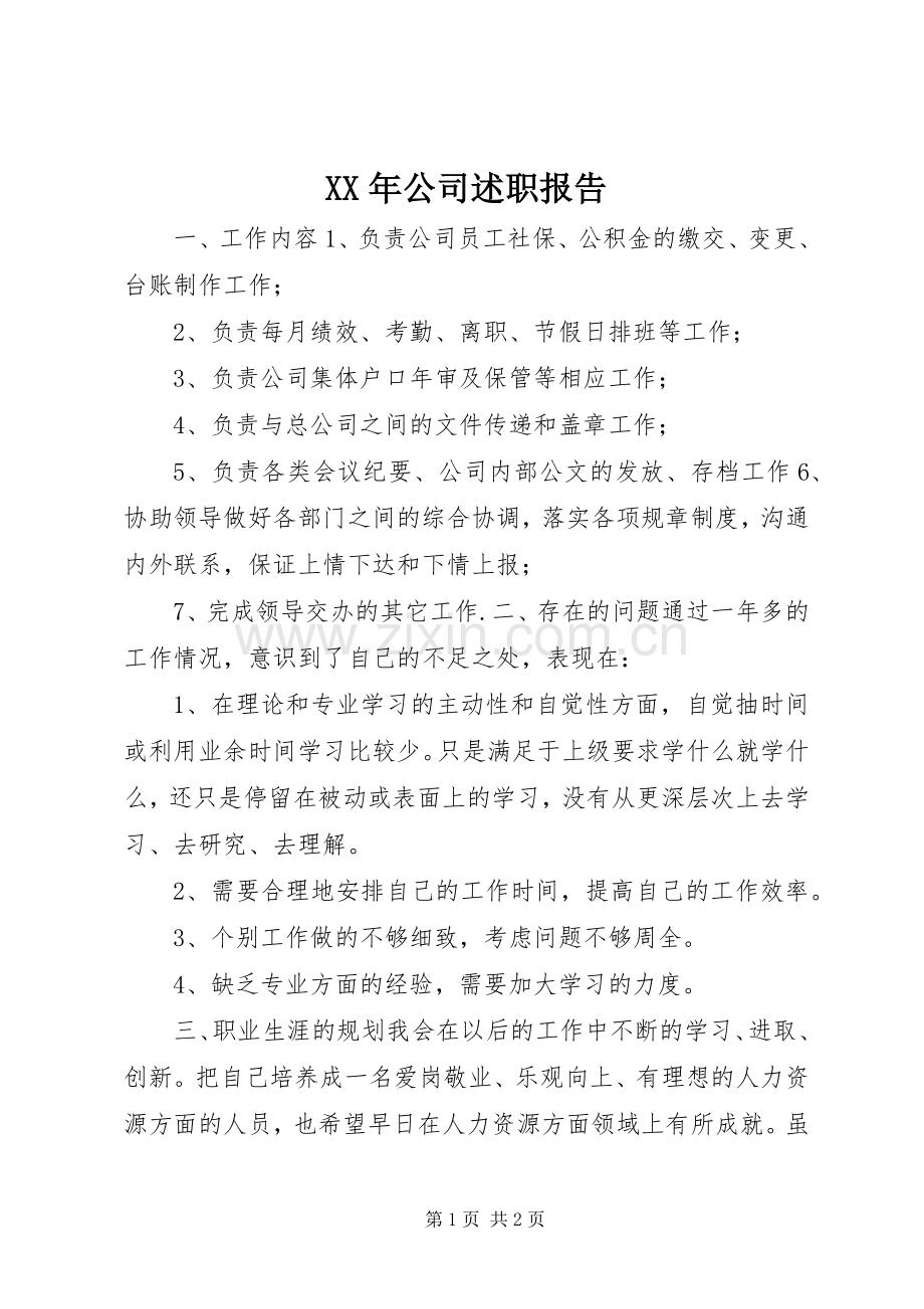 XX年公司述职报告.docx_第1页