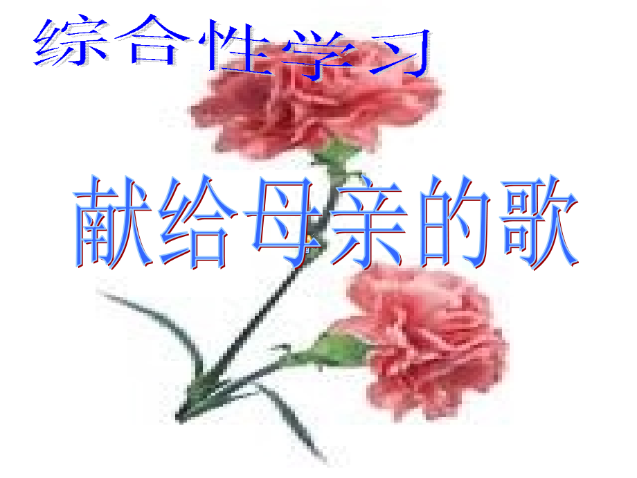 综合实践学习.ppt_第1页