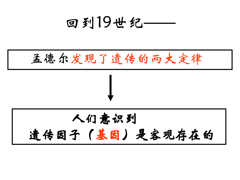 一果蝇的伴性遗传.ppt_第2页