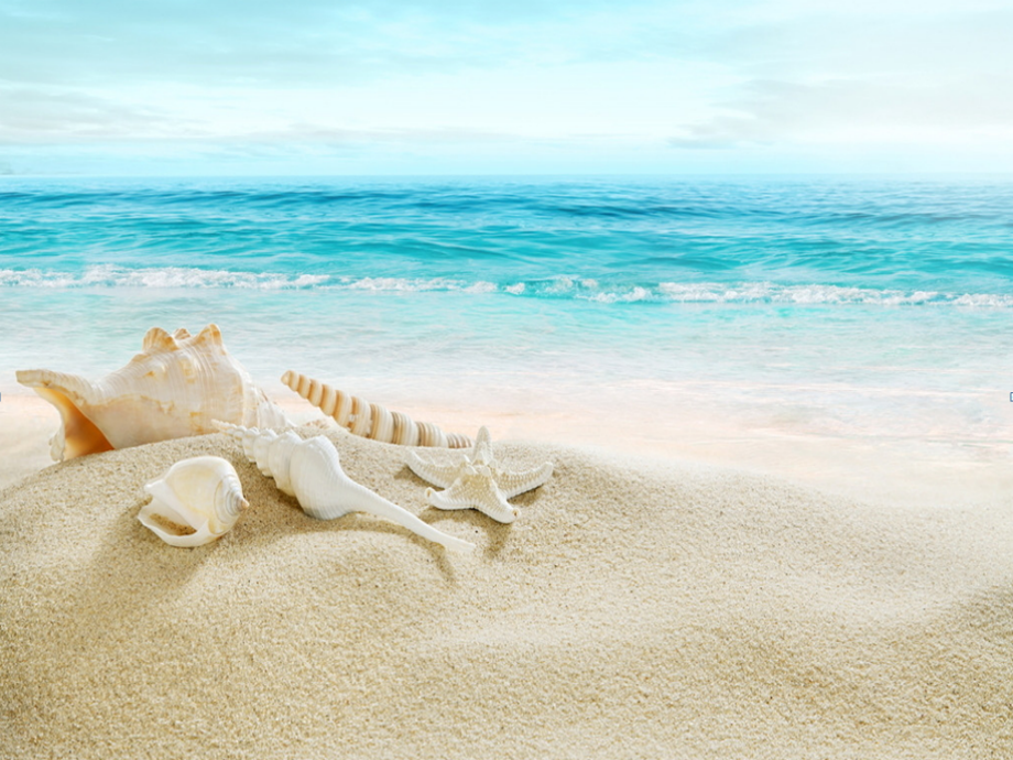 贝壳之歌-课件.pptx_第2页