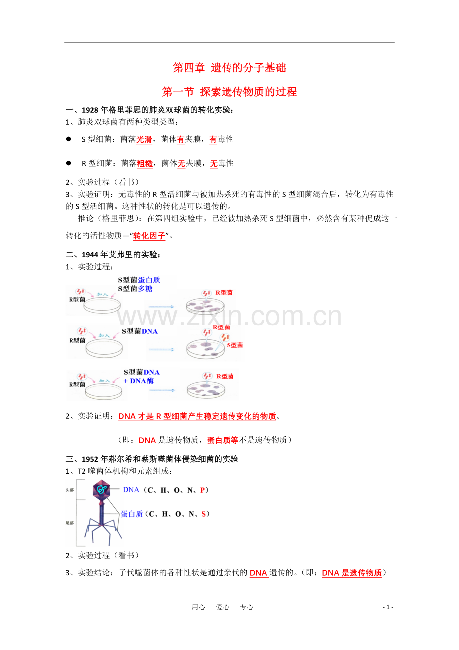 高一生物复习提纲-第四章《遗传的分子基础》苏教版必修1.doc_第1页