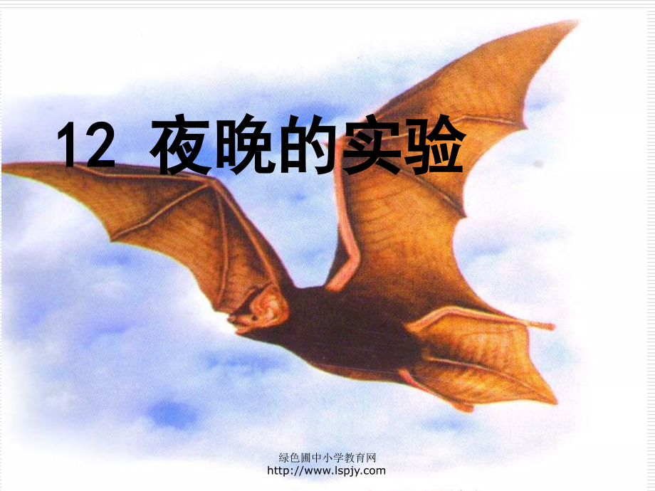 《夜晚的实验》课件PPT.ppt_第1页