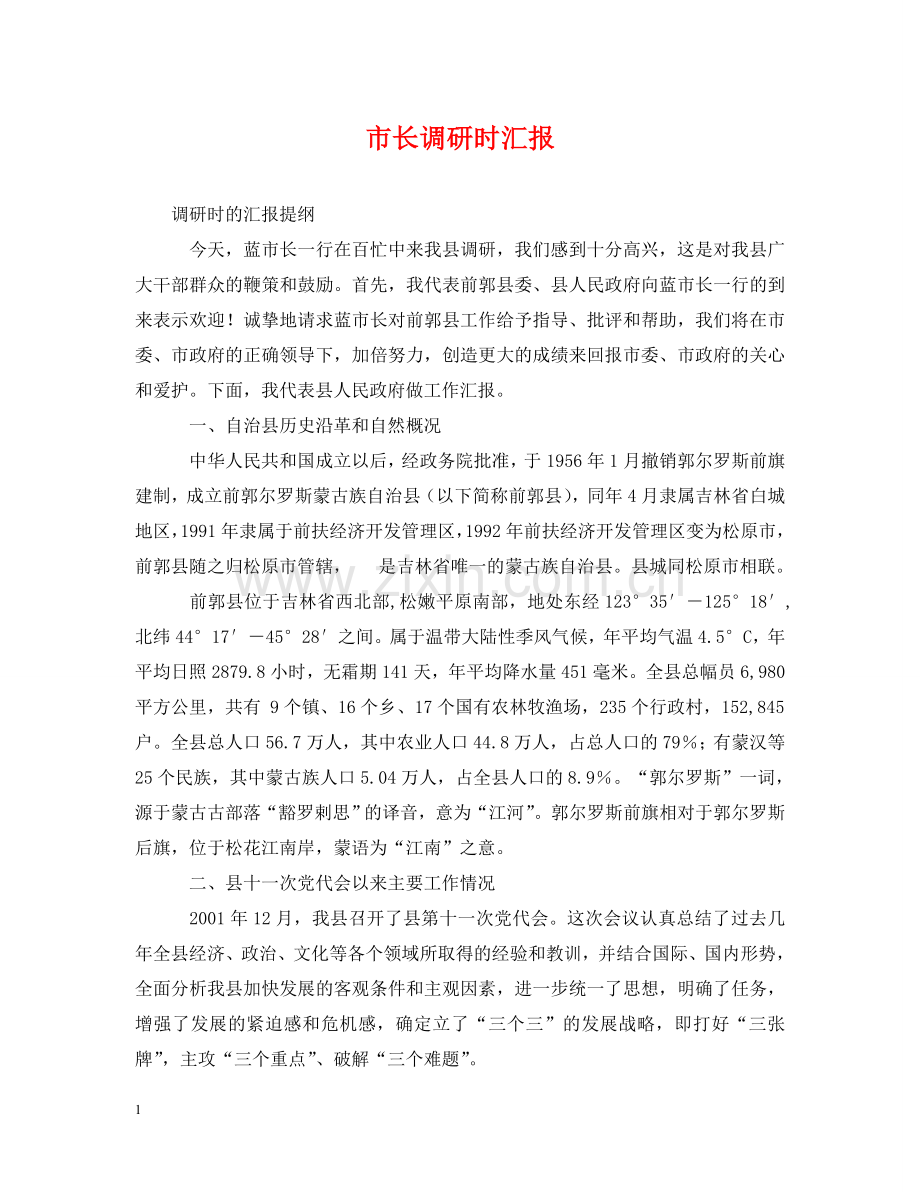 市长调研时汇报 .doc_第1页
