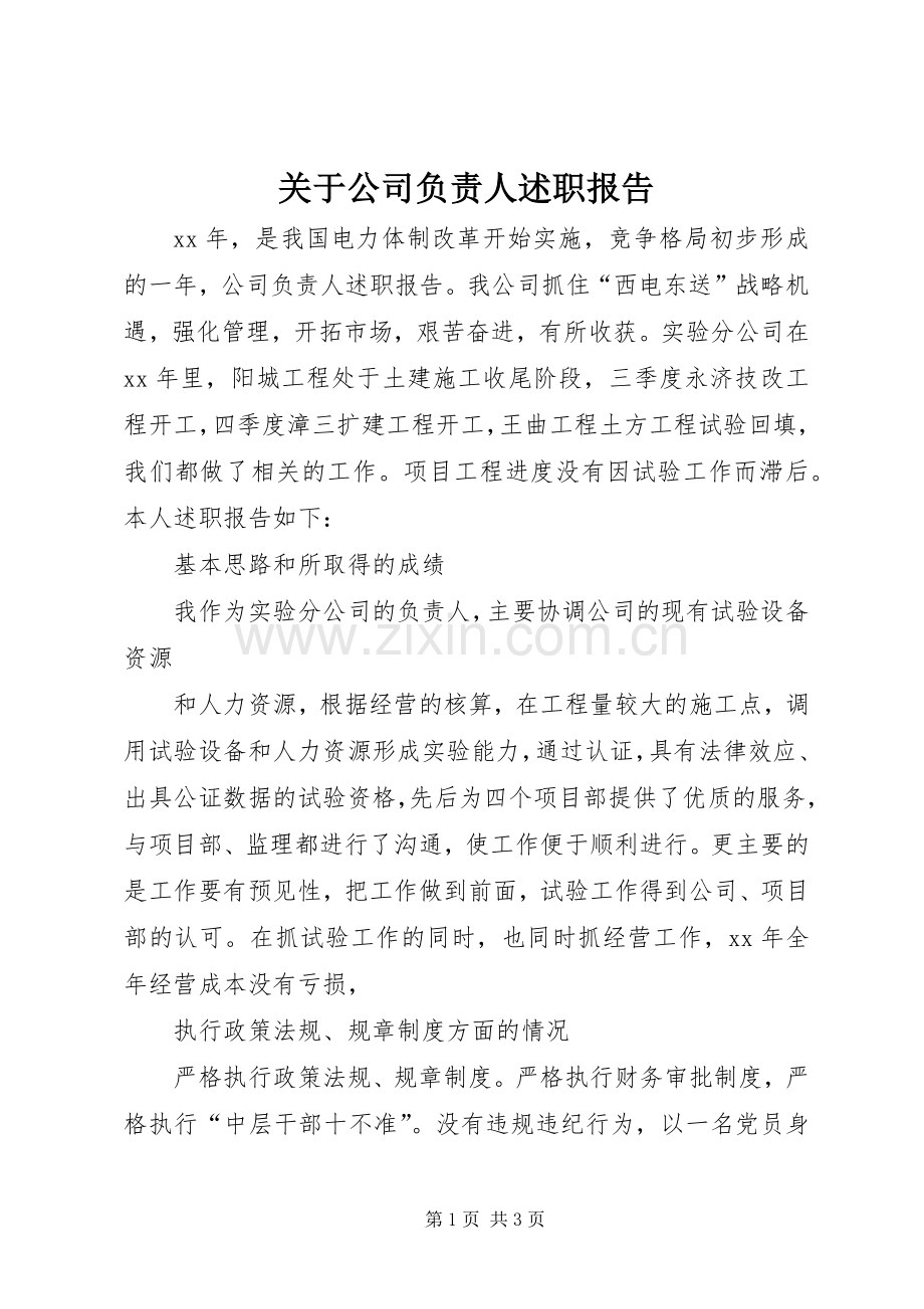关于公司负责人述职报告.docx_第1页