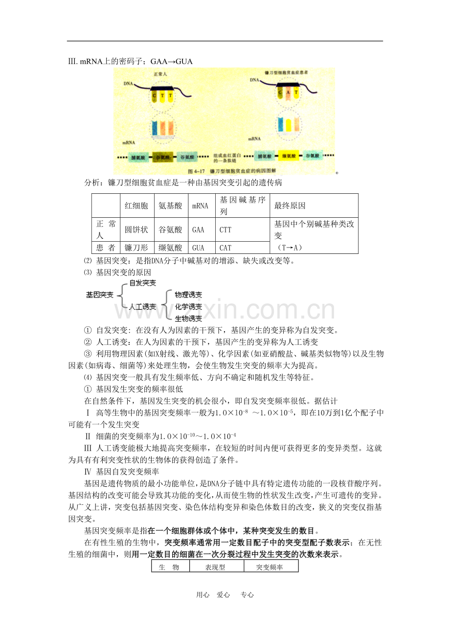 高一生物第四节--基因突变和基因重组(一)苏教版-知识精讲.doc_第2页