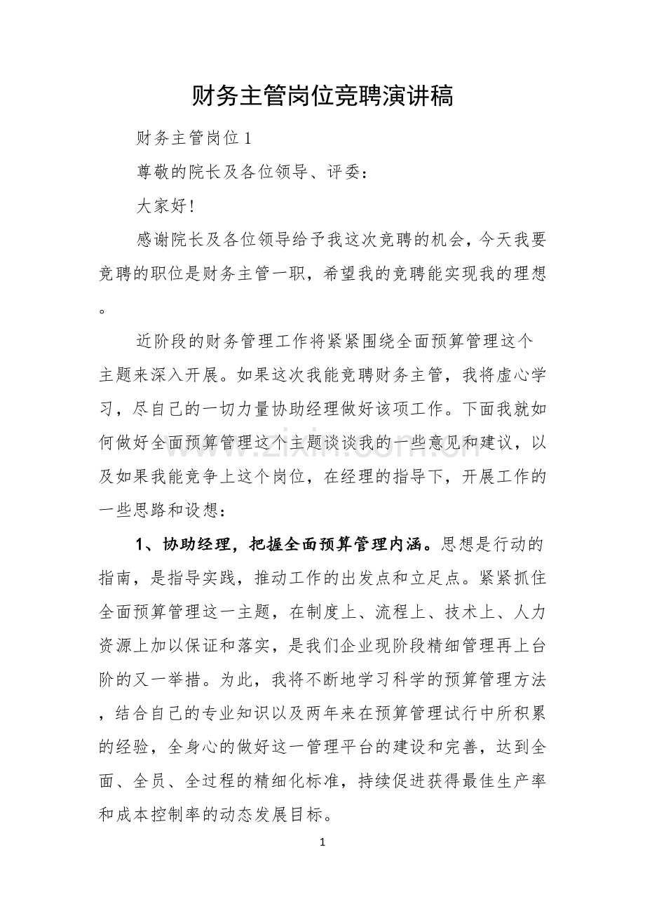 财务主管岗位竞聘演讲稿.docx_第1页