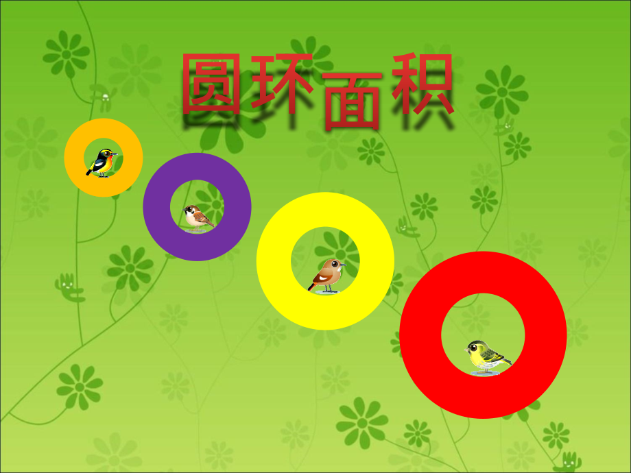圆环的面积.ppt_第1页