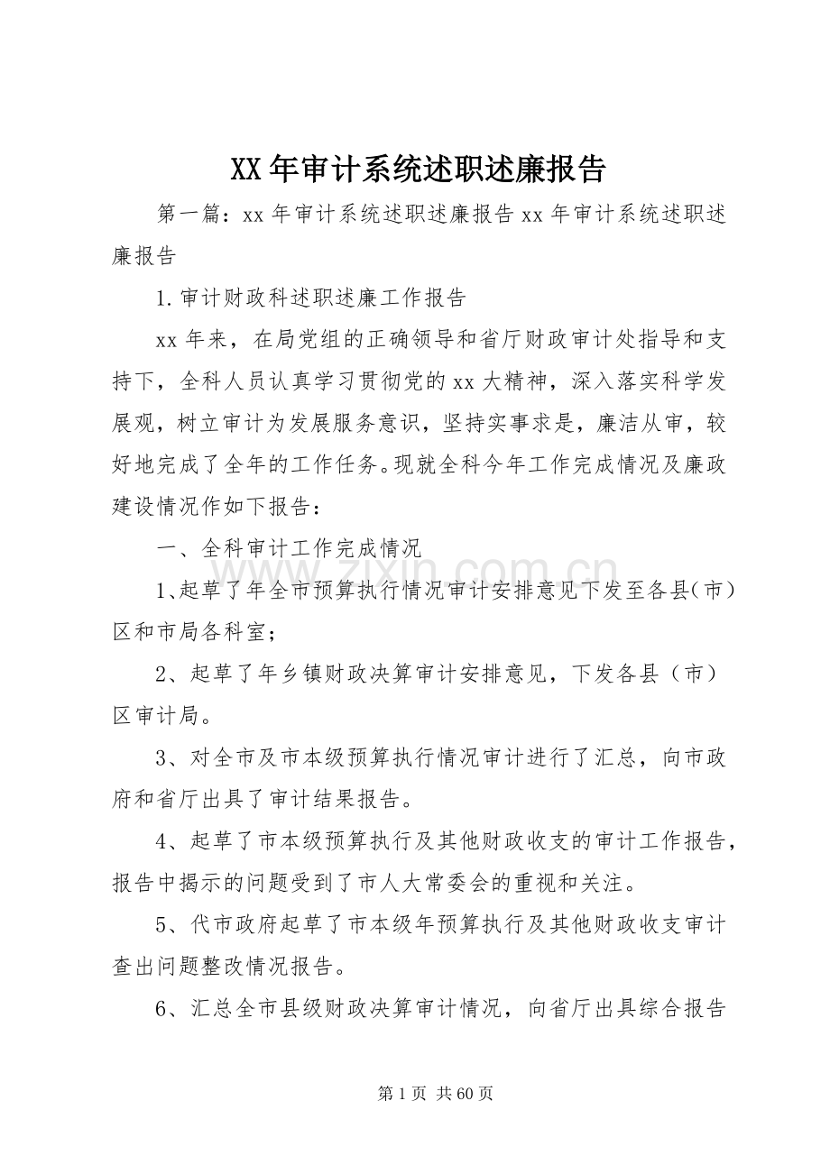 XX年审计系统述职述廉报告.docx_第1页